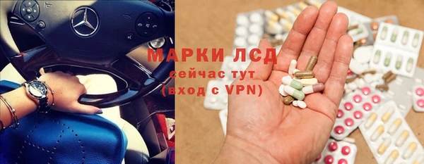 амф Аркадак