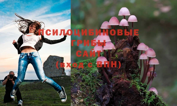 a pvp Армянск