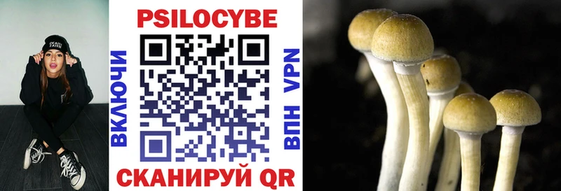 наркота  Полесск  Псилоцибиновые грибы прущие грибы 